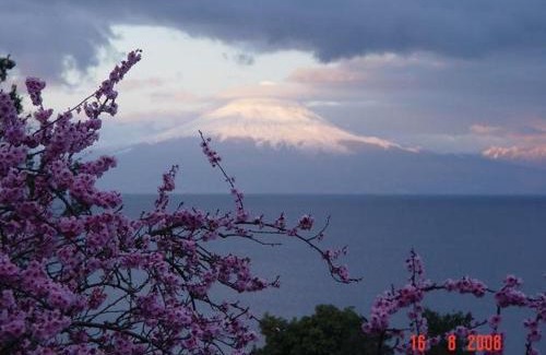 Frutillar Cabin | Cabañas el Bosque Patagónico