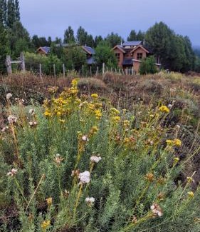 Meliquina Ski Chalet | Cabañas El Montañes