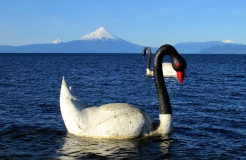 Llanquihue Apartment | Cabañas Flores del sur