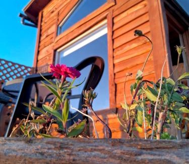 Lenca Apartment | Cabañas frente al mar