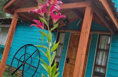 Puelo Ski Chalet | Cabañas Jade