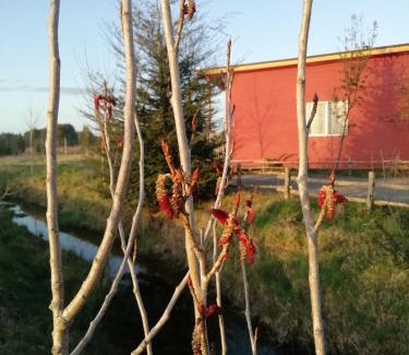 Castro House | Cabañas Juan Jose