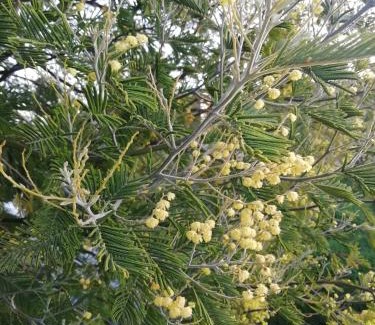 Castro House | Cabañas Juan Jose