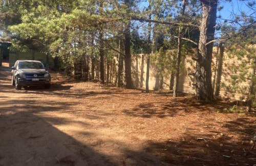 Isla Negra House | Cabañas La Magia de Isla Negra