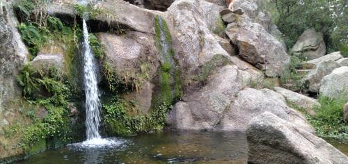 Nono Cabin | Cabañas Llajta Sumaj