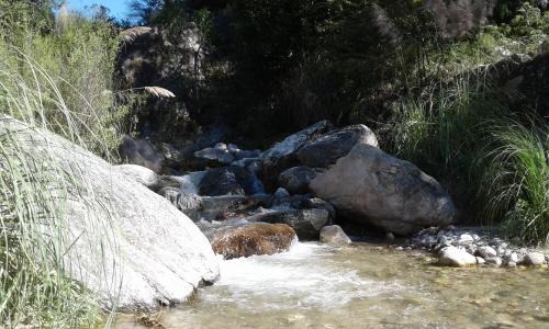 Nono Cabin | Cabañas Llajta Sumaj