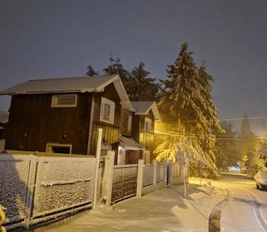 Chapelco Apartment | Cabañas Los Manzanos