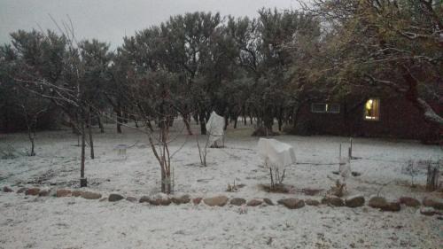 Chacabuco Department Cabin | Cabañas " Los Piquillines"