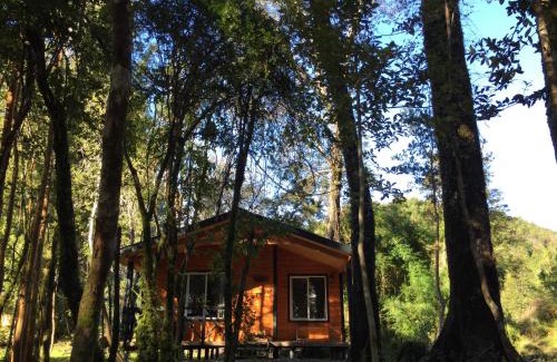 Chaiten Cabin | Cabañas Parque Michimahuida