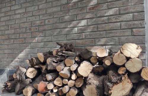 Tunuyan Ski Chalet | Cabañas Pequeño Paraíso