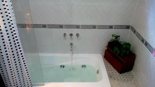 Capilla del Monte Ski Chalet | CABAÑAS SAN ANTONIO