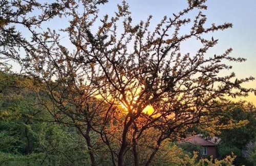 Merlo Ski Chalet | Cabañas Toay Merlo San Luis