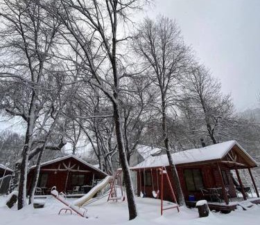 Pinto Apartment | cabañas turismo las trancas