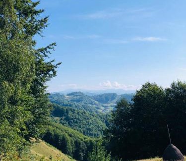 Cosbuc House | Cabana Țibleș