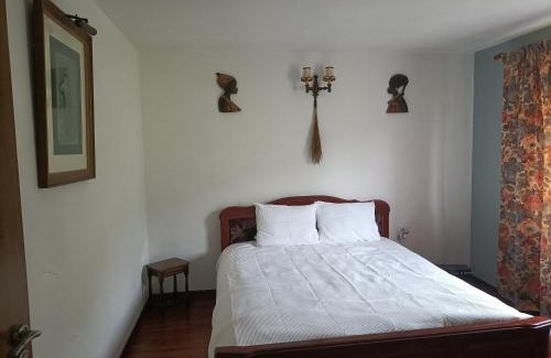 Cosbuc House | Cabana Țibleș