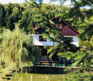 Cosbuc House | Cabana Țibleș