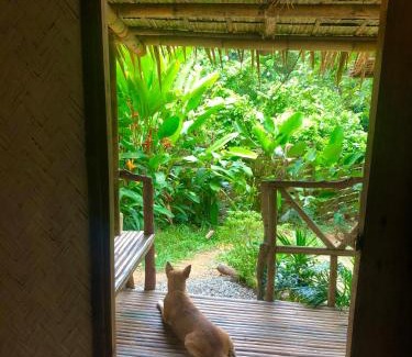 Luzon Cabin | Cabana Anahaw