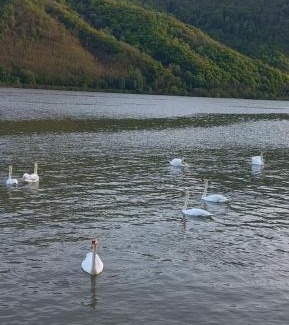 Sichevita Cabin | Cabana BRO Clisura Dunarii