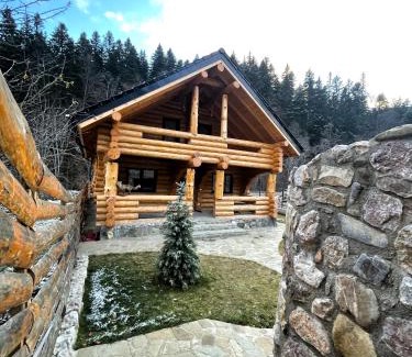 Piatra Soimului House | Cabana Butura