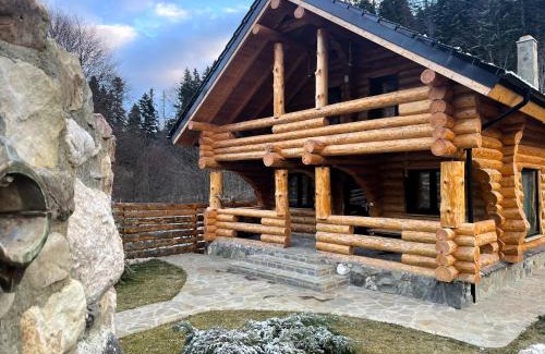 Piatra Soimului House | Cabana Butura