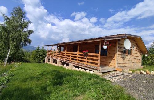 Moieciu Cabin | Cabana doi mesteceni