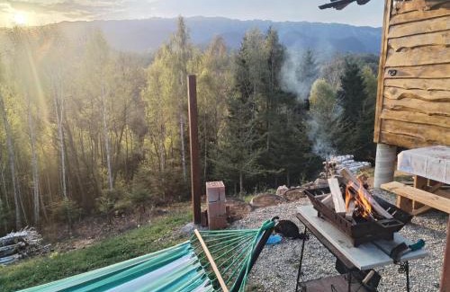 Moieciu Cabin | Cabana doi mesteceni