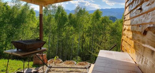 Moieciu Cabin | Cabana doi mesteceni