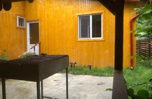 Tarcau Cabin | Cabana lucia