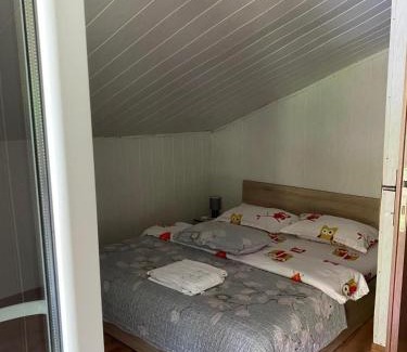 Tarcau Cabin | Cabana lucia
