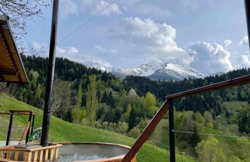 Borsa House | CABANA MERISORULUI