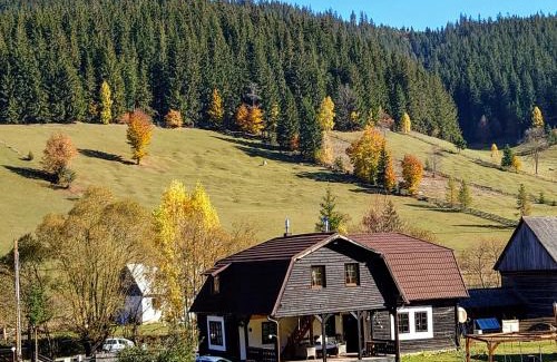 Valea Boros House | Cabana Soarelui,Napos vendégház
