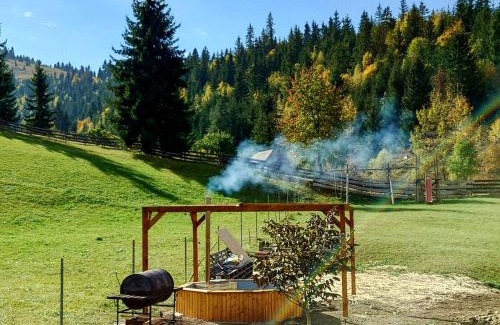 Valea Boros House | Cabana Soarelui,Napos vendégház