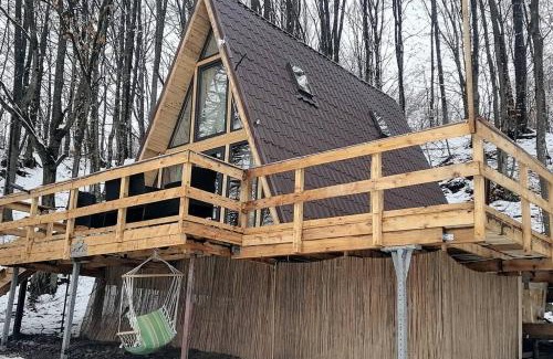 Curtea De Arges House | CabanaAframe intreaga proprietate