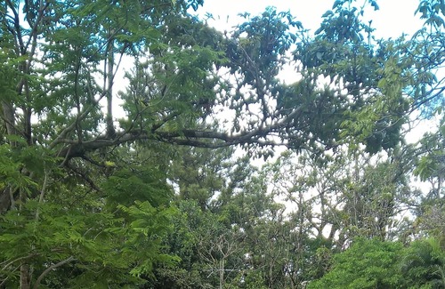 El Valle de Anton Hotel | Cabanas el Valle