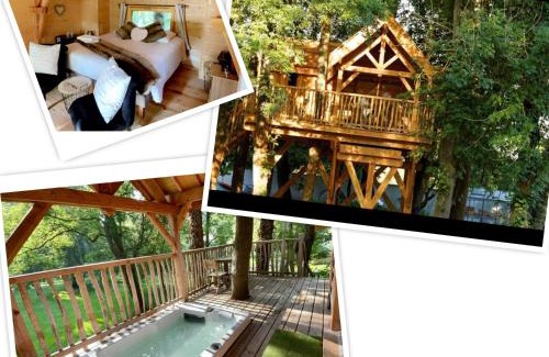 Maisse Other | Cabane perchée luxe avec jacuzzi Domaine du Marais Maisse