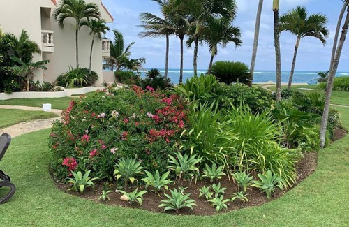 Cabarete Apartment | Cabarete Beachfront Condos Nanny Estate Unit C2