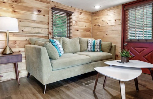 Dandridge Cabin | Cabin at Lakeside - Lake View / Mountain View / Hot Tub / Corn Hole / Fire Pit / WiFi