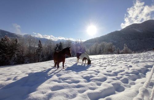 Stans House | Cabin in Stans near Kellerjoch Ski Area