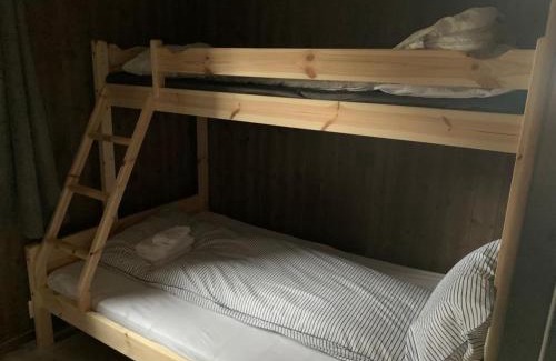 Trysil House | Cabin in Trysil Mountain Arena