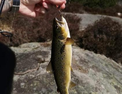 Fitjar Apartment | Cabin with a view to water