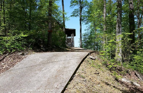 Townsend Cabin | Cabin with beautiful view, on 'Peaceful Side of the Smokies'