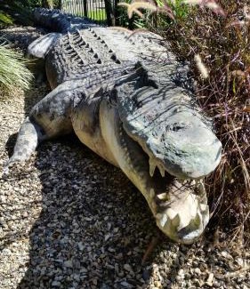 Woree Resort | Cairns Gateway Resort