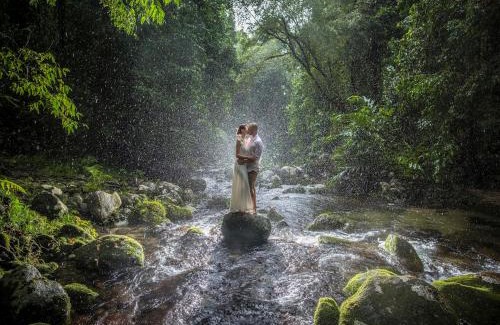 Bellenden Ker Apartment | Cairns Rainforest Hideaway