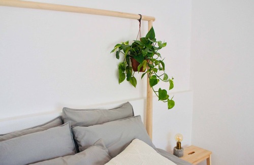 Assafora Apartment | Cala Benirràs (1 bedroom) Apartment (max. 3 persons)