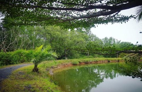 Phangnga Resort | Calm at Bangphat