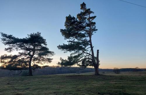 Debnica Kaszubska Villa | Calm House Krzynia - dom nad jeziorem do wynajęcia