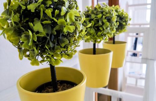 Costa Teguise Apartment | Camel's Spring Club