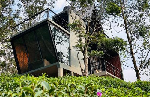 Ella Cabin | Camellia Lodge Ella