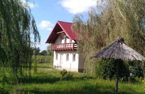 Copalnic-Manastur Cabin | Camera Primăverii 1