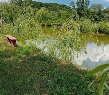 Copalnic-Manastur Cabin | Camera Primăverii 1